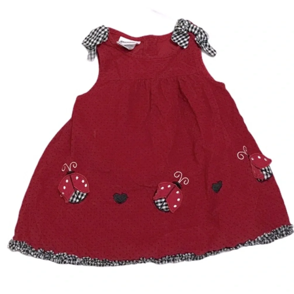 Baby Girl Dresses Sz 12-18 months 1 Blue Denim Overall Dress 1 Red w/ Lady Bugs - Picture 2 of 5